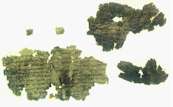 Torah fragments